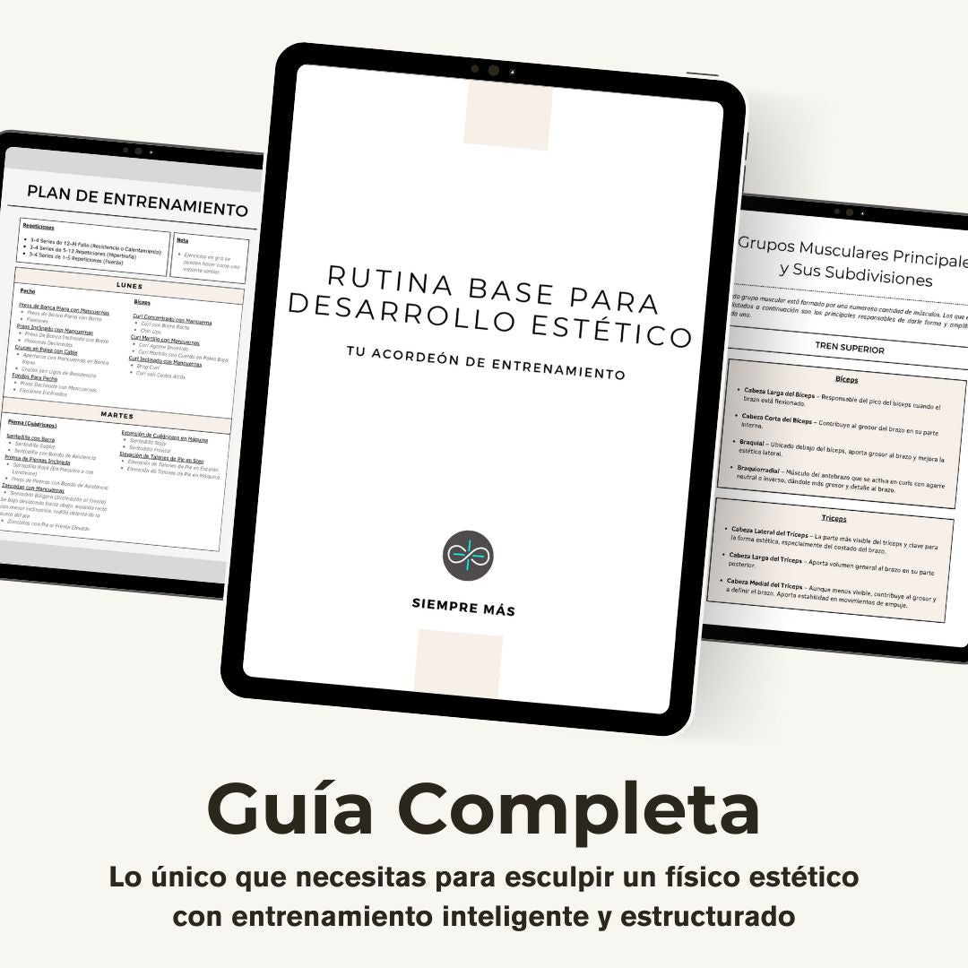 Ebook: Rutina base para desarrollo estético