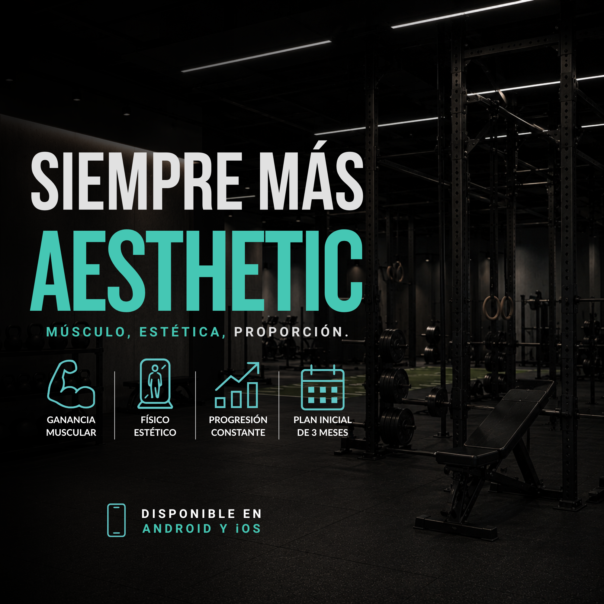 Siempre Más Aesthetic